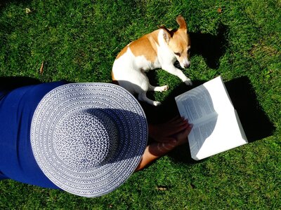Jack Russell boek